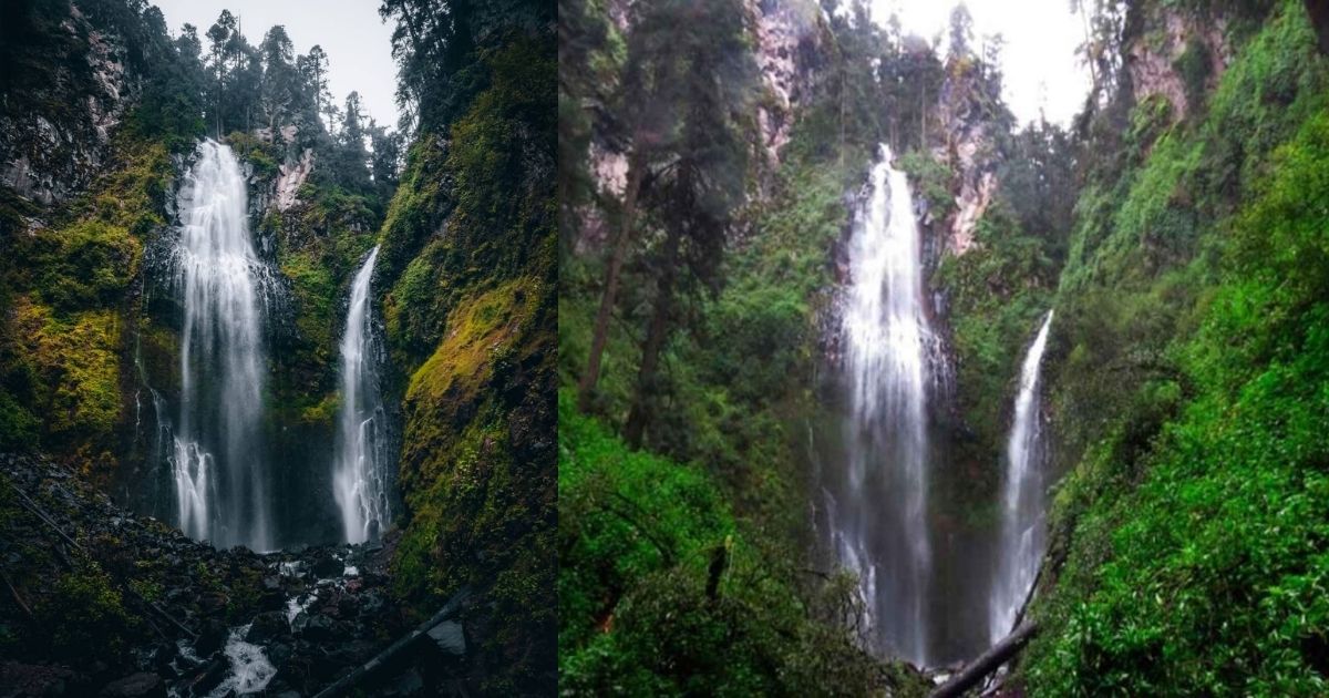 A beautiful aerial shot of Parque Dos Aguas, a large natural pool in the middle of a lush jungle, with a winding wooden path leading to the water and a collage showing people swimming and relaxing on the grounds
