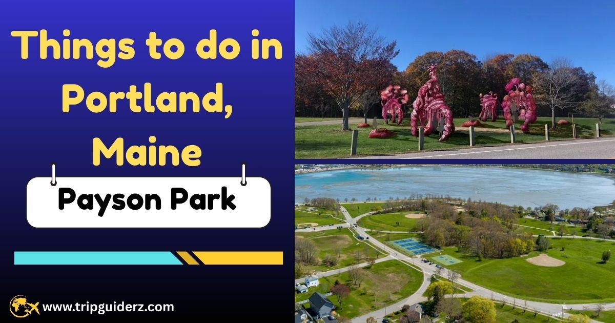 The vast green fields of Payson Park in Portland, Maine, a large recreational area that is free to the public for sports and picnics.