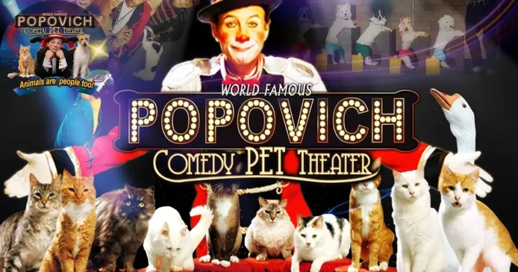 A photo of a live show at the Popovich Comedy Pet Theater, with a man and several small dogs performing on a stage. An inset shows a different scene from the show, with a cat sitting on a stool