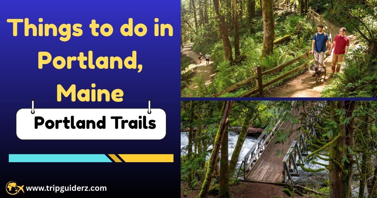 A scenic walking trail maintained by Portland Trails, part of the extensive network of free trails for hiking and biking throughout the city.