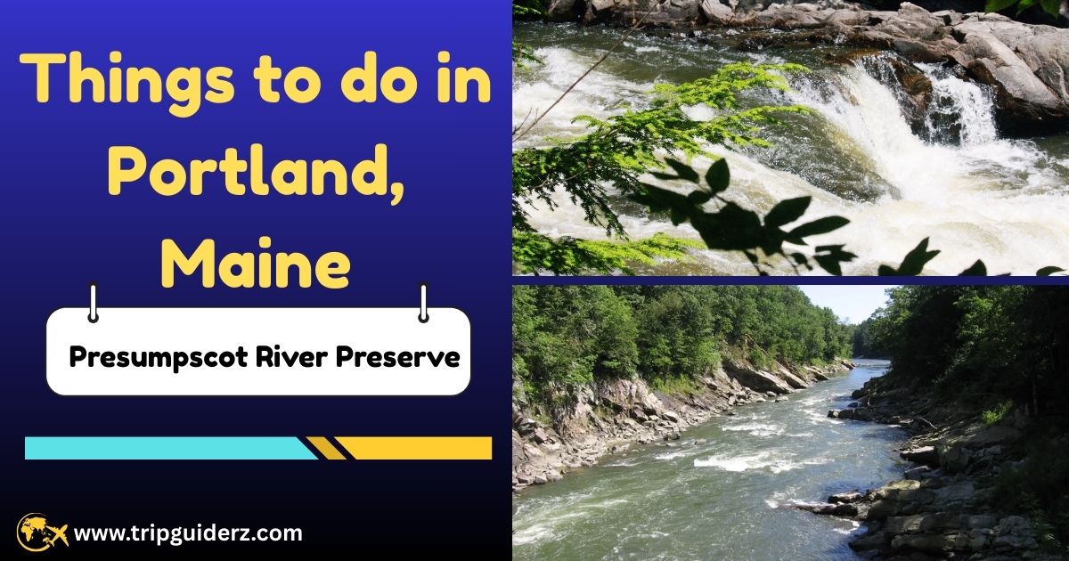 A peaceful walking trail along the Presumpscot River Preserve, a beautiful spot for a free nature walk in Portland, Maine.