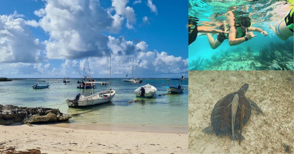A close-up underwater shot of a green sea turtle swimming in the clear, calm waters of Akumal Bay, with people snorkeling nearby on a private tour.