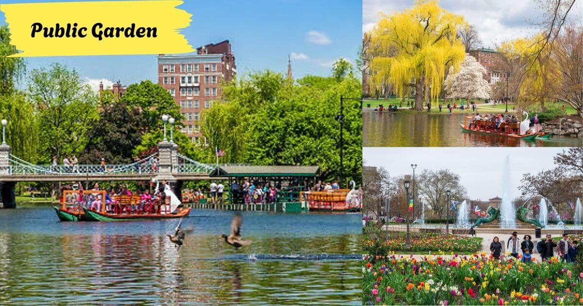 Public Garden