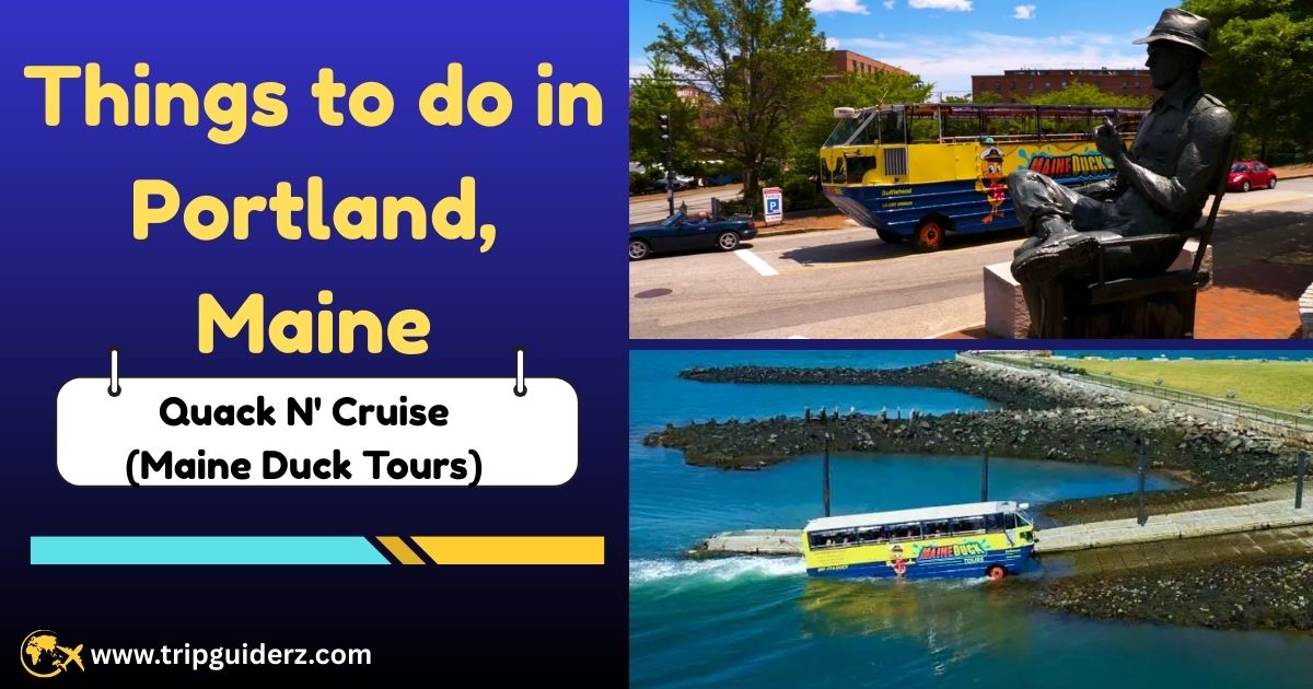 The Maine Duck Tours amphibious vehicle, "Quack N' Cruise," driving through the streets of Portland, Maine, on a unique city and harbor tour.