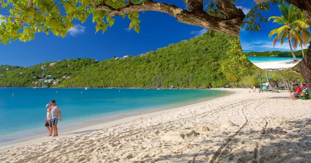 A panoramic view of the sandy shore of Magens Bay Beach with calm, turquoise water and green hills. The sandy beach is lined with people and shaded by trees.