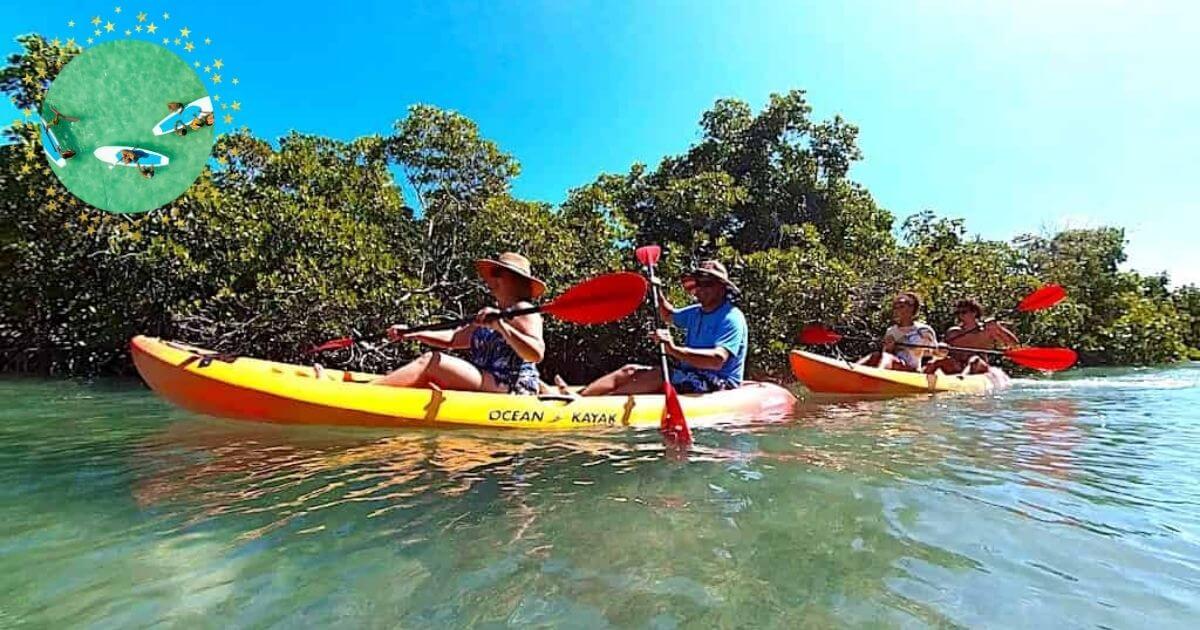 Sandbar & Mangrove Kayak Adventure (Half-Day)