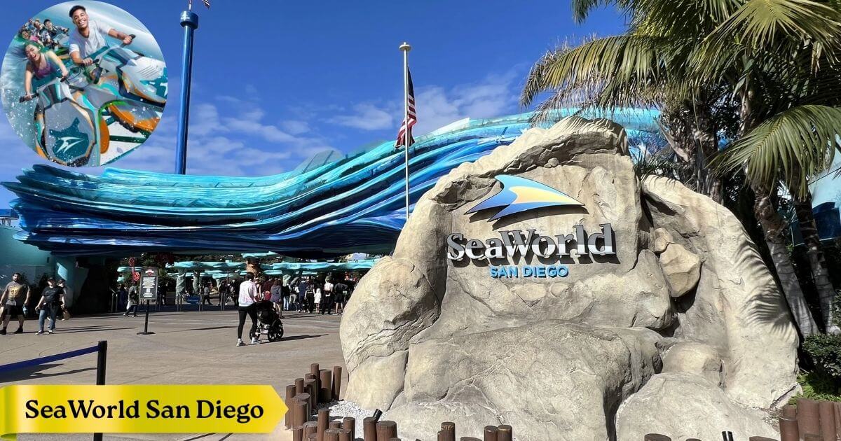 A dolphin show at SeaWorld San Diego, a popular marine theme park with shows and exhibits.