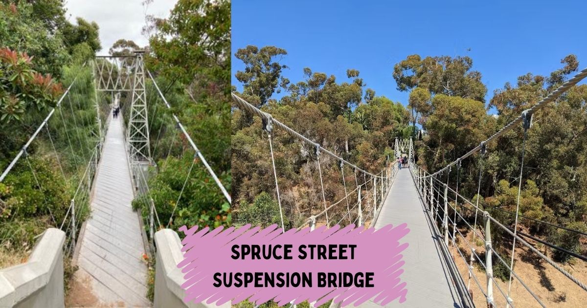 The Spruce Street Suspension Bridge in San Diego, a free pedestrian footbridge that sways slightly, offering a unique urban walking experience.