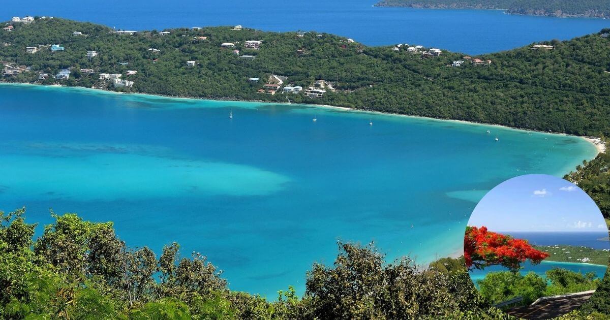 A scenic view from Drake's Seat overlooking a bright turquoise bay and a lush green coastline with houses. An inset shows a closer view of the ocean with a vibrant red flamboyant tree branch.
