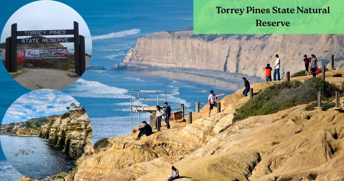 A scenic hiking trail along the cliffs at Torrey Pines State Natural Reserve, offering stunning ocean views near San Diego.