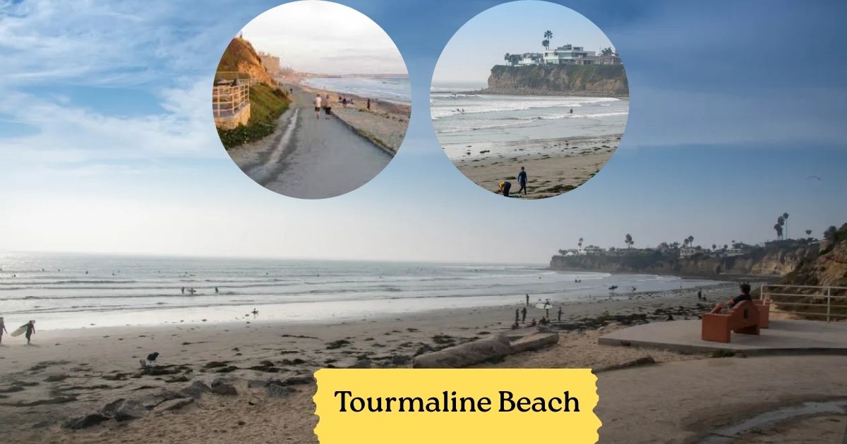 Surfers with longboards paddling out at Tourmaline Beach, a relaxed and popular surfing spot for longboarders in San Diego.