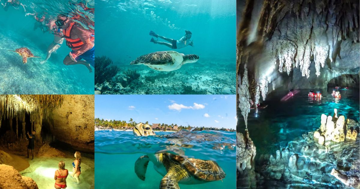 A collage of a tour of the Mayan Riviera, featuring people swimming with sea turtles in Akumal Bay, snorkeling in a stunning crystal cave cenote with stalactites, and another underwater shot of a turtle