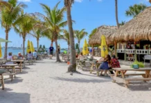 Travel Guide to Sarasota: Best Restaurants You Must Try Travel Guide to Sarasota: Best Restaurants You Must Try