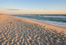 Long Island’s Two Coastal Worlds: Exploring the Hamptons and North Fork Long Island's Two Coastal Worlds: Exploring the Hamptons and North Fork