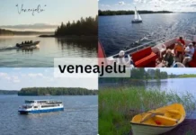 Veneajelu | Complete Guide to Finland’s Boating Culture and Scenic Adventures Veneajelu boats navigating the water, with an additional boat positioned on the shore, illustrating maritime life.