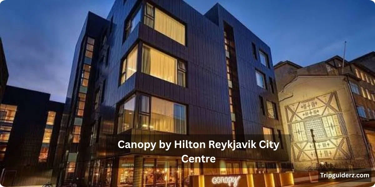 I went in expecting a fairly generic Hilton-brand experience and came out a genuine fan.