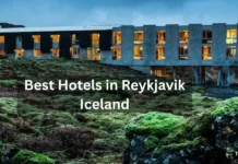 Best Hotels in Reykjavik iceland | Top Picks for Comfort, Views & Location A hotel nestled among lush, moss-covered rocks in best hotels in reykjavik iceland, showcasing a serene natural environment.