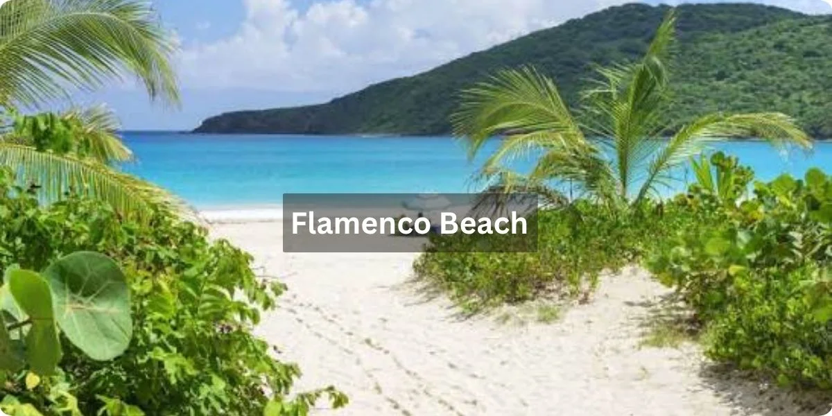 A panoramic view of Flamenco Beach, showcasing its white sand and turquoise waters under a clear blue sky.