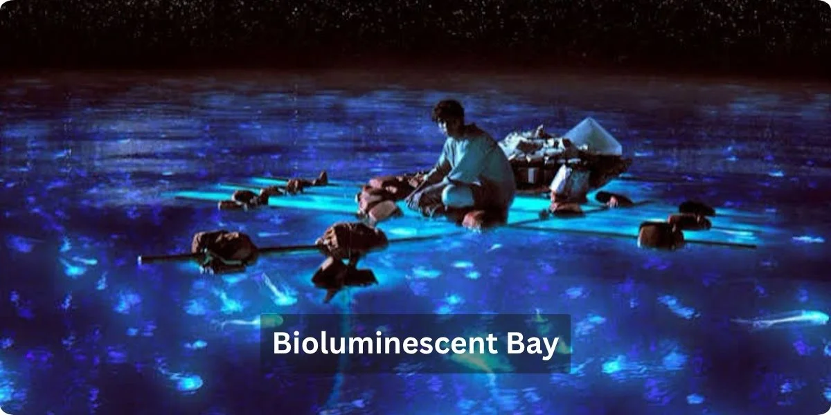 A serene view of a bioluminescent bay, glowing blue waters illuminated by natural light, inviting for a nighttime tour.