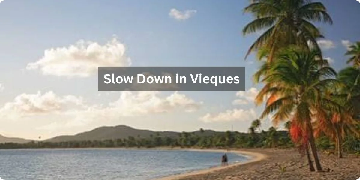 A sign reading "Slow Down" in Vieques, surrounded by lush greenery and tropical scenery.