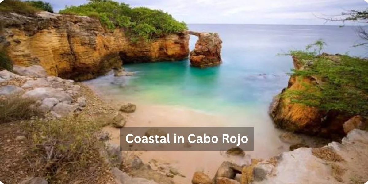 Scenic coastal view of Cabo Rojo, featuring turquoise waters and rocky cliffs under a clear blue sky.