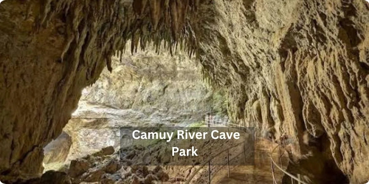 A scenic view of the Camuy River Cave Park showcasing lush greenery and cave entrances along the river.