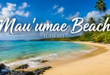 Mau’umae Beach Hawaii | What to Know Before You Go Mau'umae Beach Hawaii, with turquoise ocean, golden sandy shore, volcanic rocks, and lush tropical palm trees.