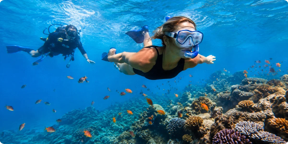 Two scuba divers navigate through a lively underwater scene, showcasing diverse marine species and coral structures.