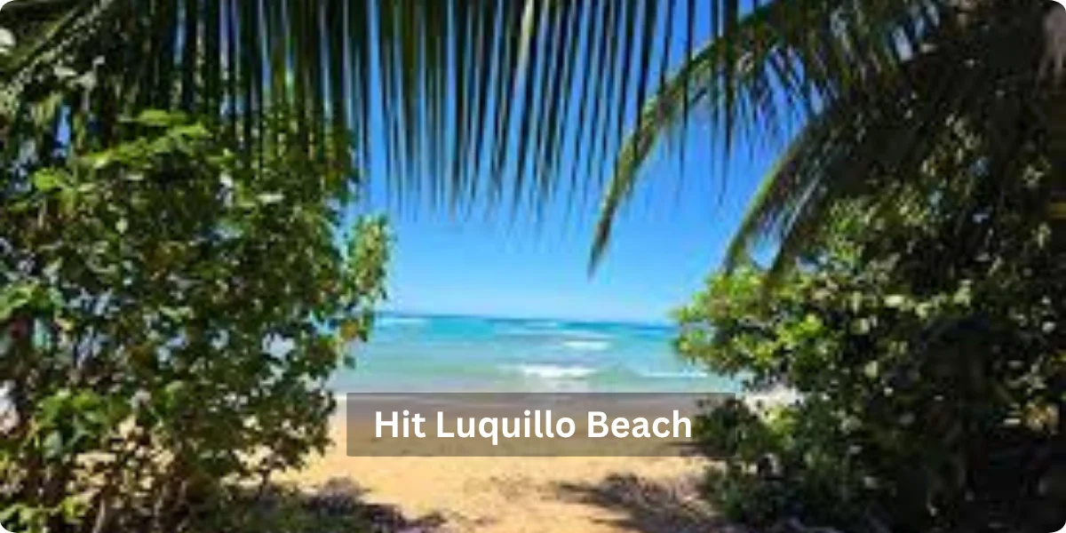 Luquillo Beach scene with soft sand, gentle ocean waves, and palm trees, inviting relaxation and enjoyment of nature.