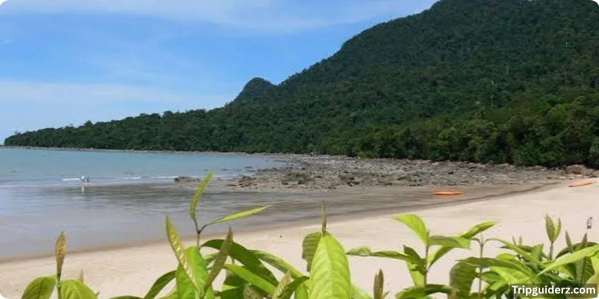 Damai Beach