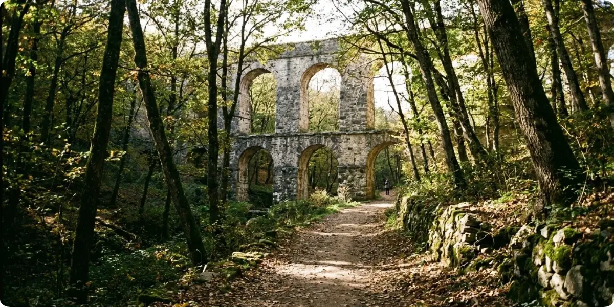 Hiking trail in Belgrad Forest near Istanbul