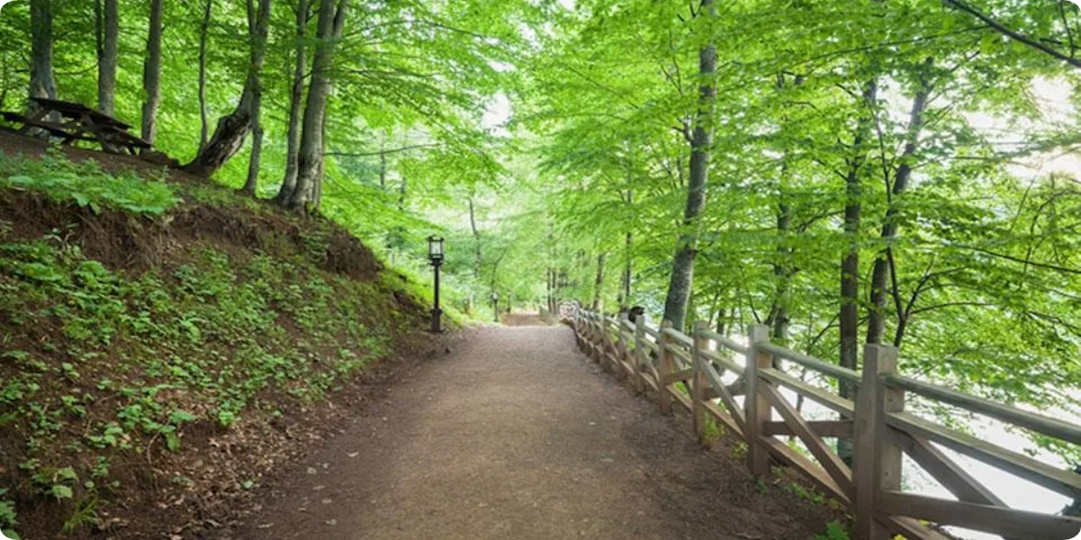 Green countryside and forest in Polonezkoy near Istanbul