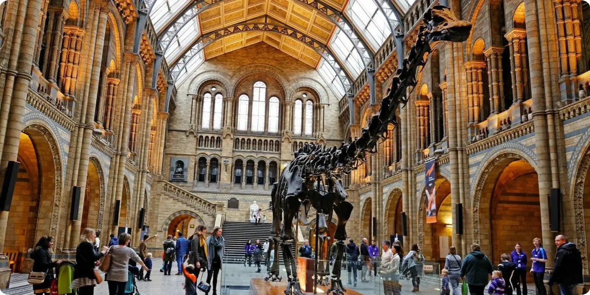 Free things to do in London with kids at the Natural History Museum