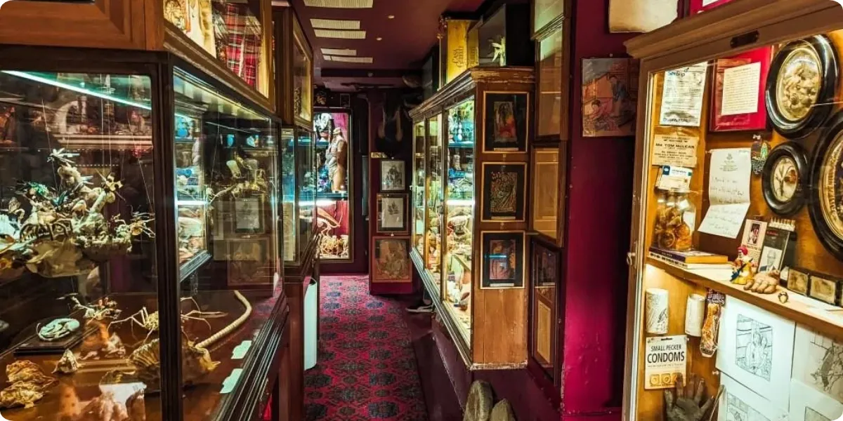 Unusual objects and curiosities displayed at Viktor Wynd Museum London