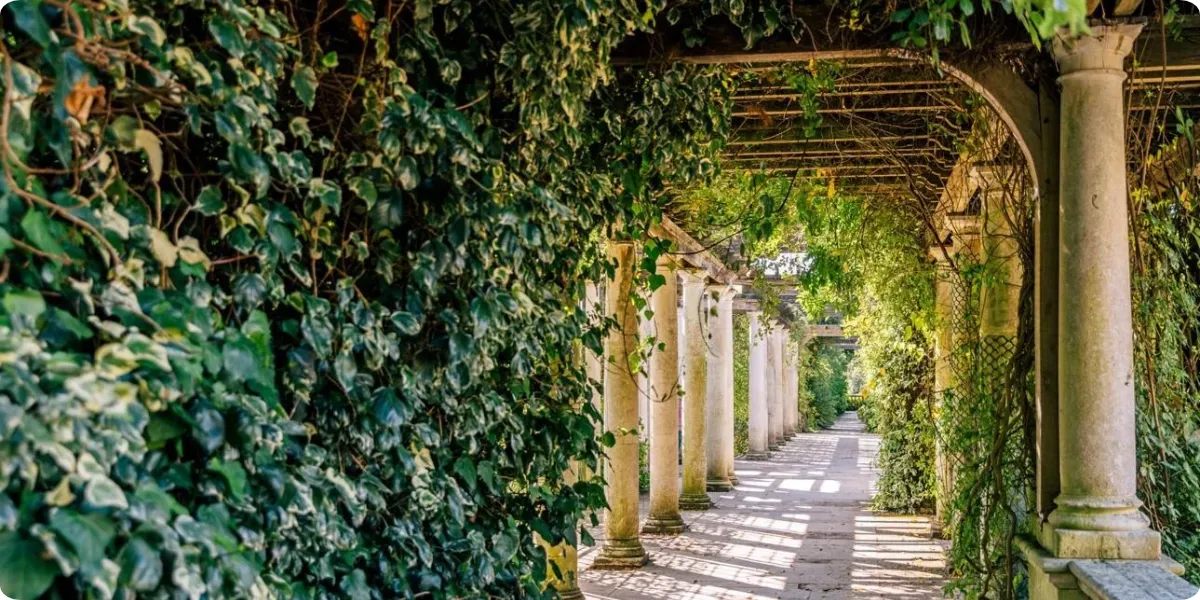 Leaf-covered pergola and historic stone columns at Hampstead Hill Gardens London