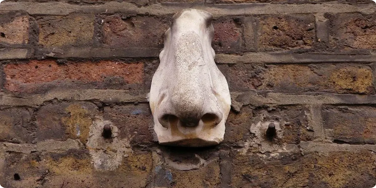One of London's unusual sculpted nose artworks on a building wall