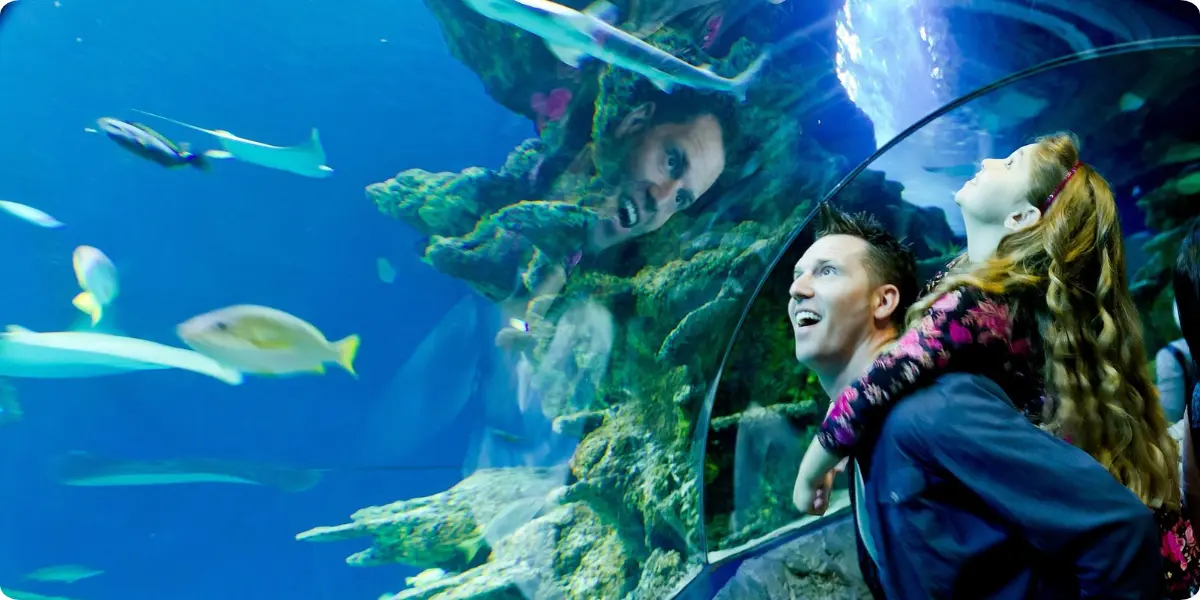 Sharks and marine life swimming above visitors inside SEA LIFE London Aquarium.